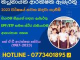 JOB VACANCIES From Katunayaka