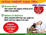JOB VACANCIES From  Qatar