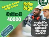 JOB VACANCIES From  Colombo 03