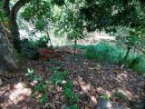 Residential land for sale