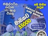 JOB VACANCIES From  Ja Ela