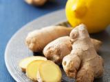 Ginger  plants