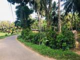 440 perch land for immediate sale in Matara Kirinda area