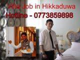 Job in Hikkaduwa Touris Villa
