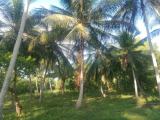 Residential land for sale