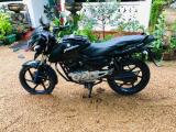 Bajaj Pulsar 135 0 (Used)