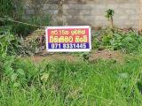 Land for sale