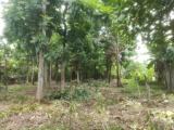 Residential land for sale