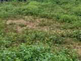 Land for sale