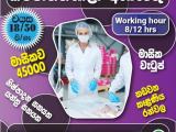 Job vacancies from   Kadawatha