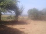 Nuwarawewa lake bordering land for sale