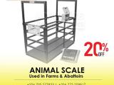 High-quality single animal weighing scales digital type