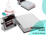 IP68 bench scale 15 kg x 5g with stainless steel housing