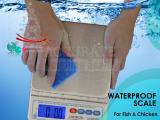 digital ABS housing industrial waterproof weight scale