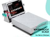 Industrial table top waterproof  weighing scale digital type