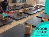 1Ton Electronic Digital Platform Double Deck Floor Weighing Scale