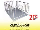 vet digital animal scale livestock scale for pig, sheep,cow