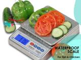 moisture and dirt proof weighing scale with digital display