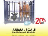 Livestock weighing scales in the agricultural industry