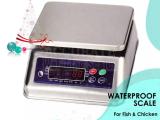 digital waterproof weight stainless steel scales 3kg