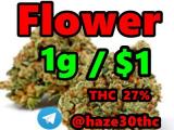 Granddaddy, Popcorn Cannabis, Super Boof, Amnesia Haze, Feminized, HHCP, AlphaPinene, Indoor Jealousy, Grape Biscotti,
