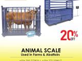LCD display large digital animal weighing scale 1500kg