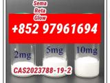 Retatrutide  2381089--83-2  reta  top quality wholesale price   with top quality